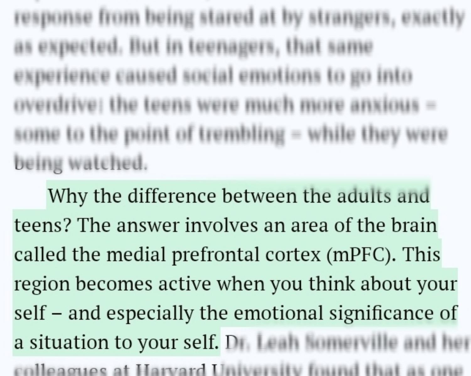 What makes us to see difference between adults and teens brains