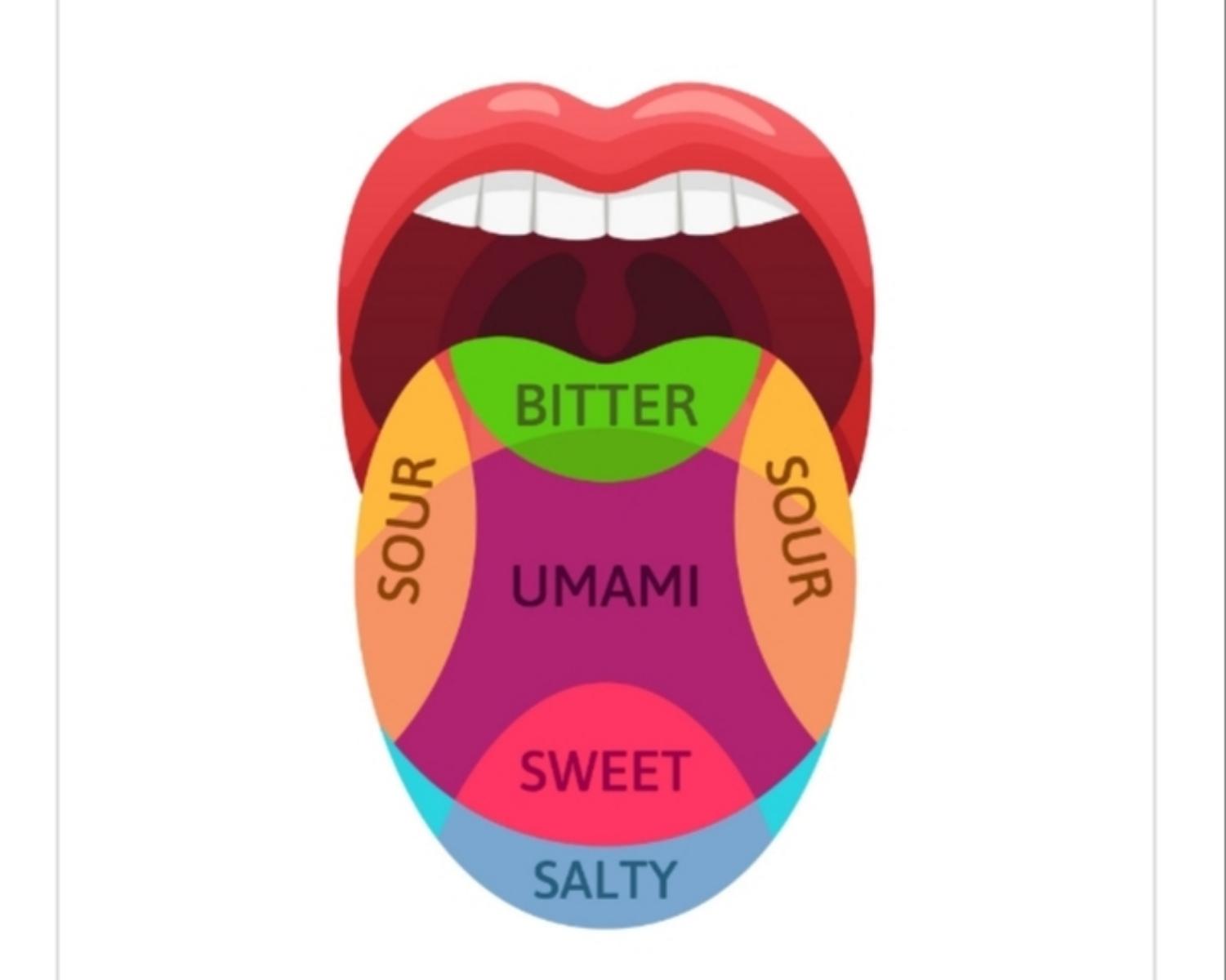 Mechanism of taste buds - Deepstash