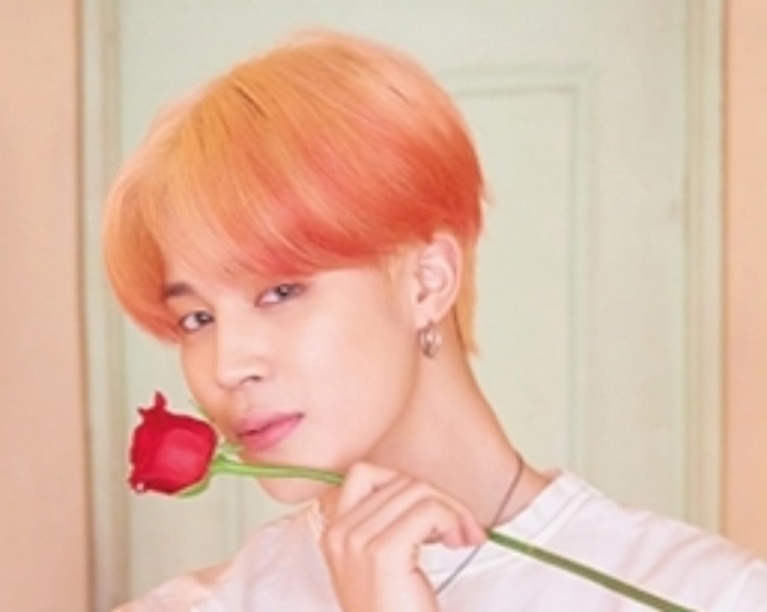 BTS PARK JIMIN