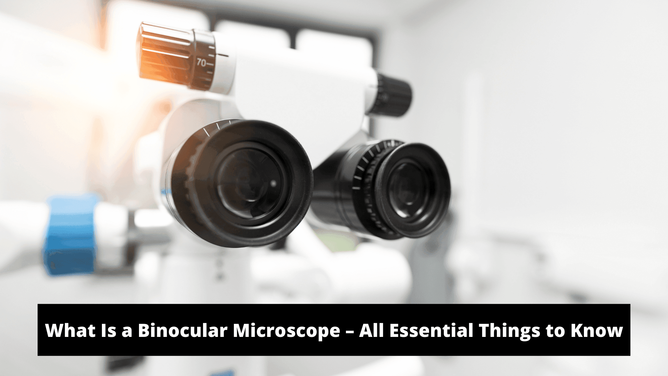 What Is a Binocular Microscope – All Essential Things to Know

