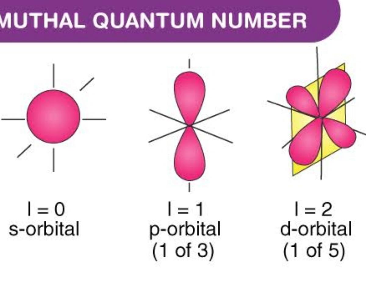 magnetic-quantum-numbers-m-deepstash