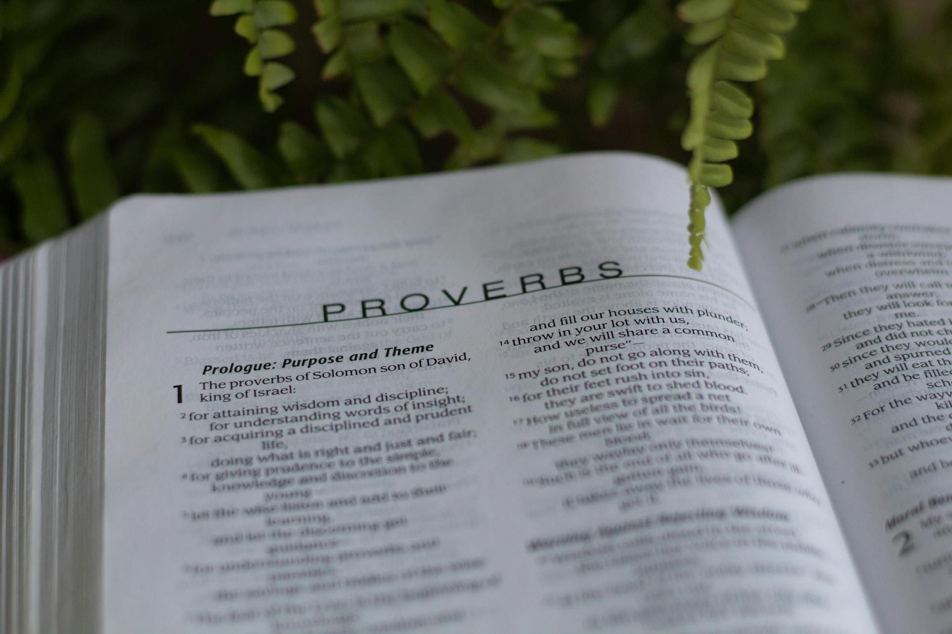 Proverbs