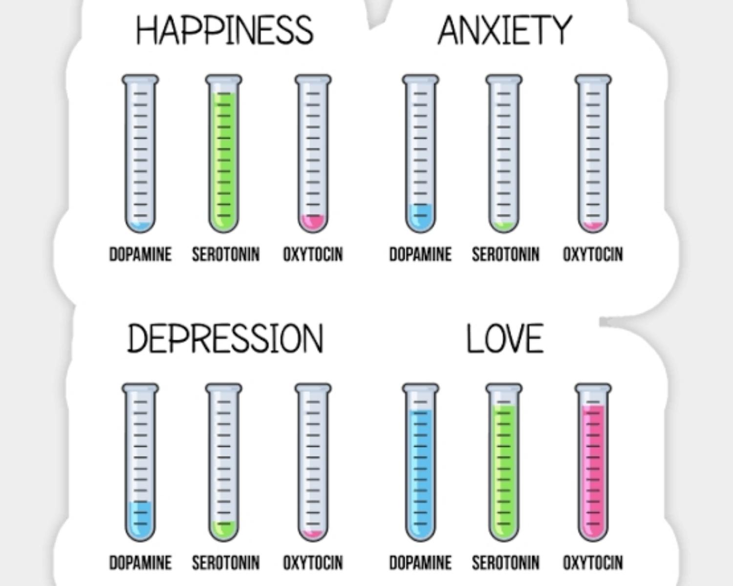 Role Of Different Hormones