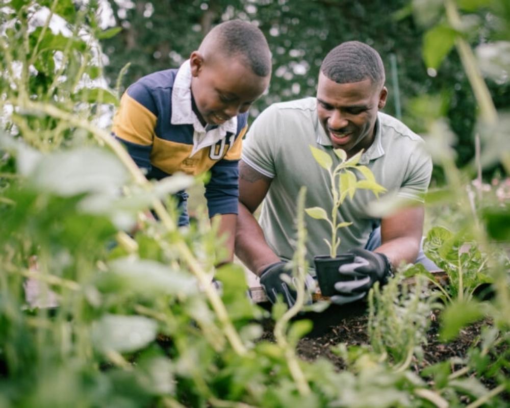 Homesteading: How it became and the benefits 