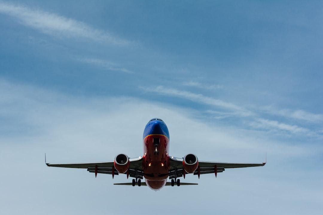 Brussels Airlines WAW Terminal