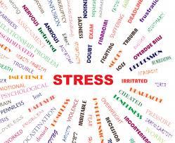 <p>68. “Much of the stress tha...