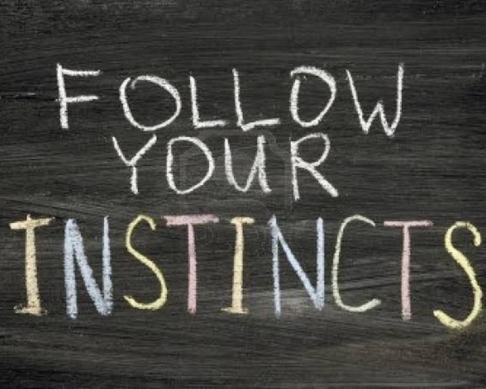 Follow Your Instincts 