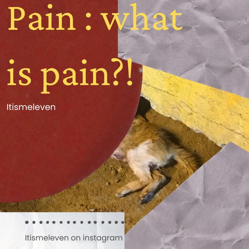 Pain : What Is Pain ?!