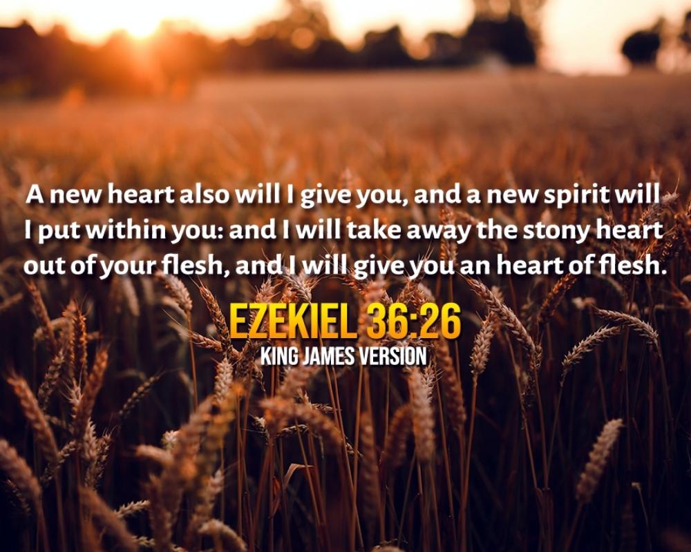 <p>Let us read Ezekiel 36:26, ...