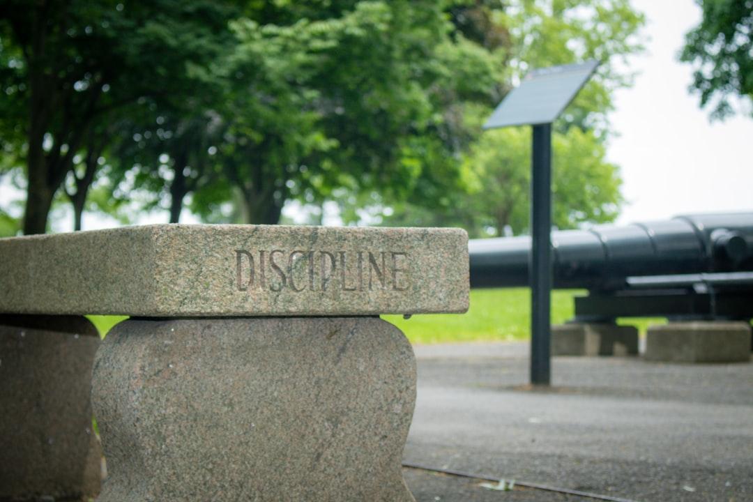 The Discipline Advantage 