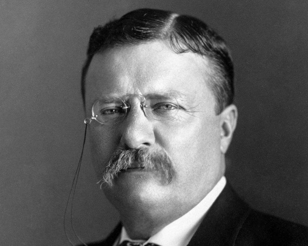 THEODORE ROOSEVELT