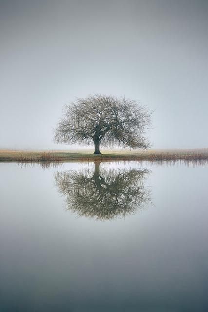 Be tree, be water 