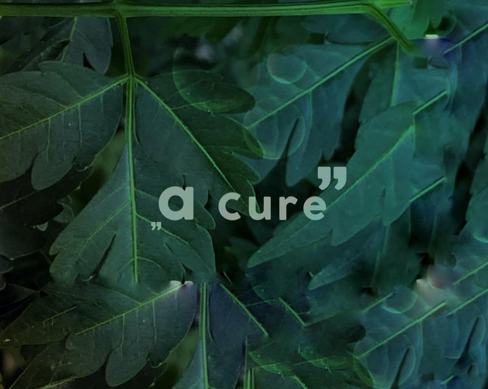 a Cure 