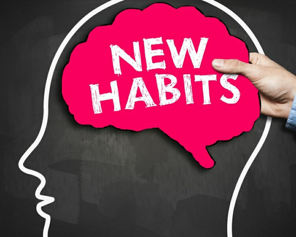 What’s the difference between habits and routines??