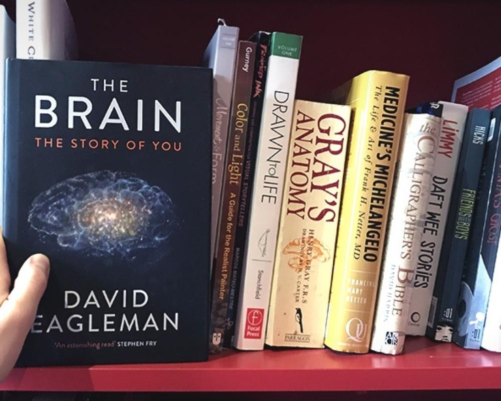 The Brain 🧠 By David Eagleman 