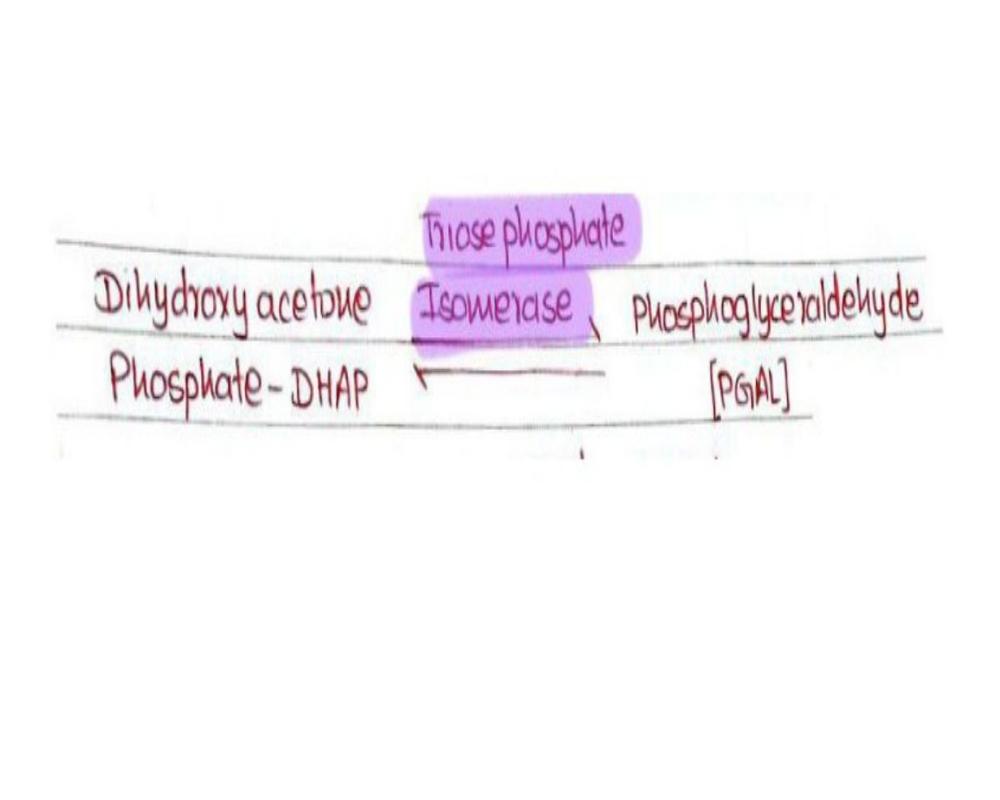 5. DiHydroxyAcetonePhosphate Isomerization to PGAL.