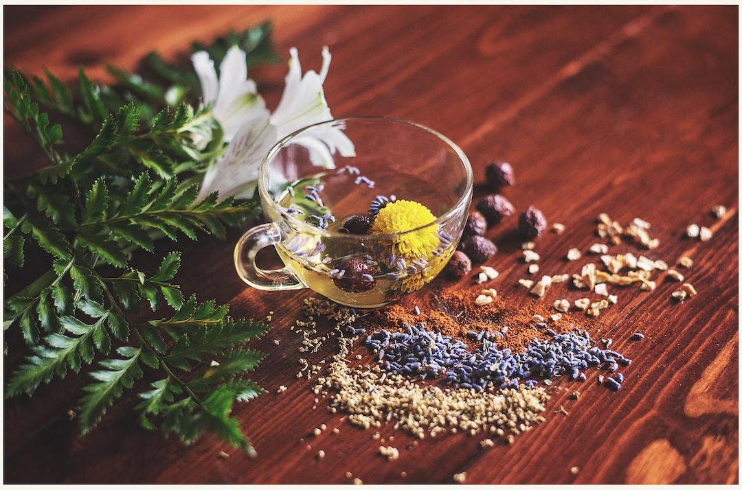 The Expanding Scientific Foundation of Herbal Medicine