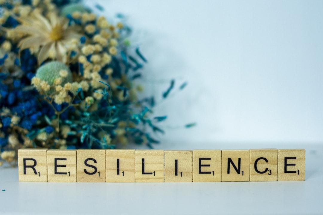 Designing for Resilience in Cyberspace