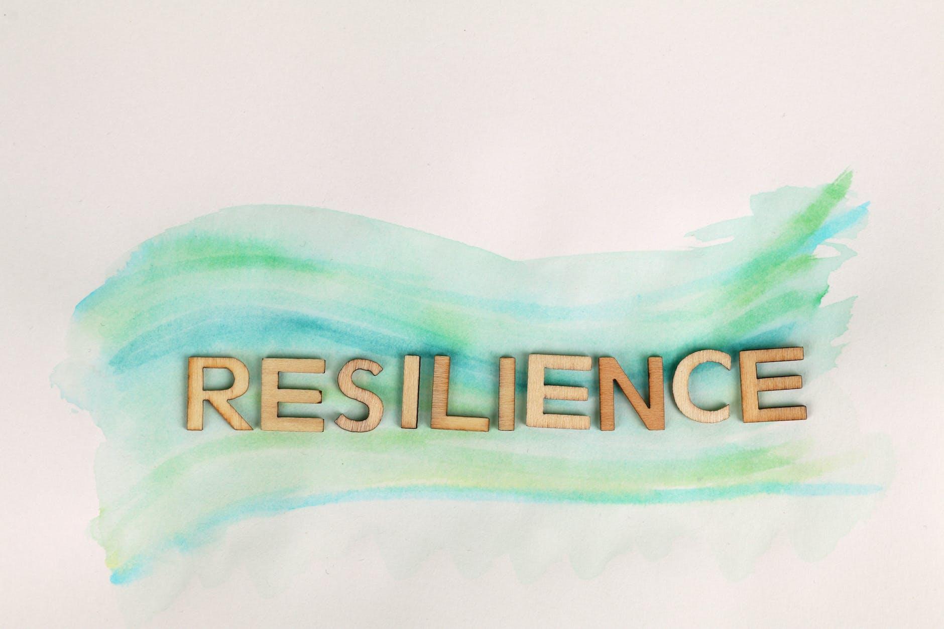 Resilience and Perseverance: