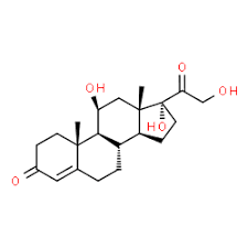 Cortisol: The Stress Alarm