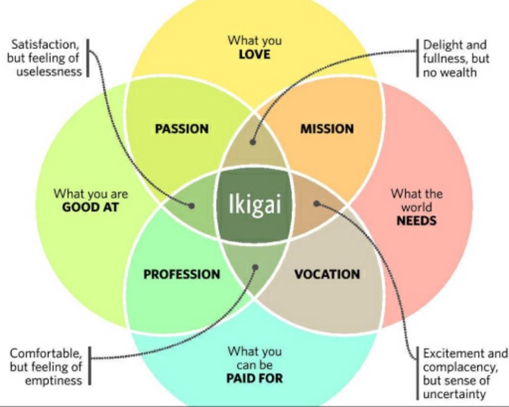 What Is Ikigai