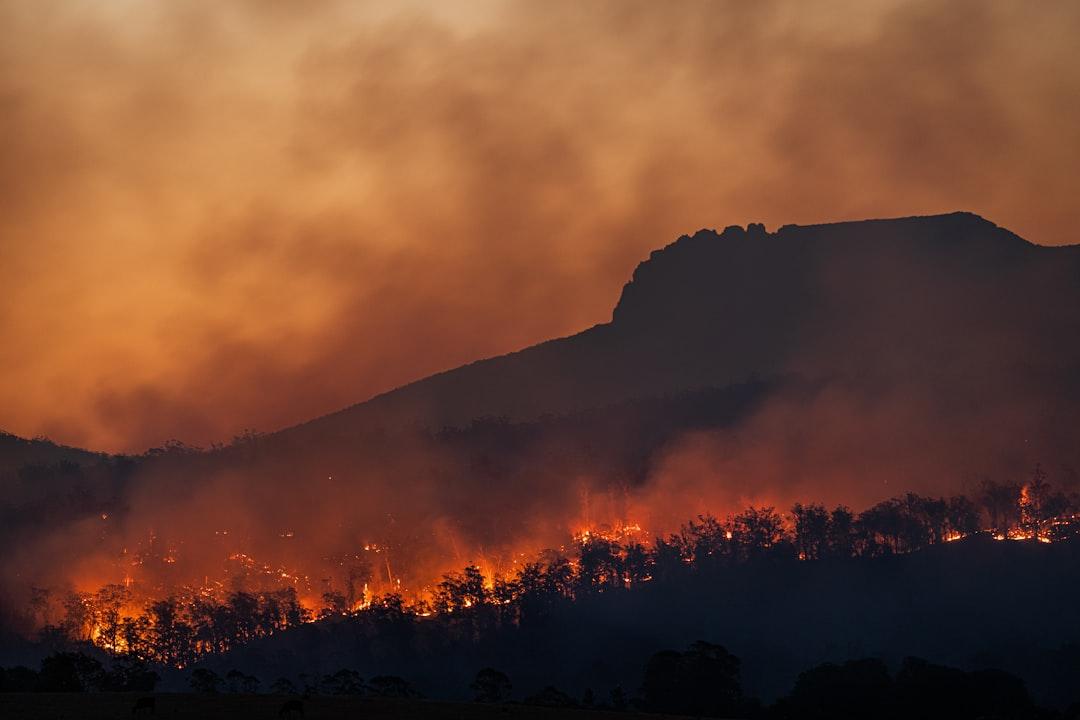 Colonialism and Climate Change's Impact on Australia's Bushfires