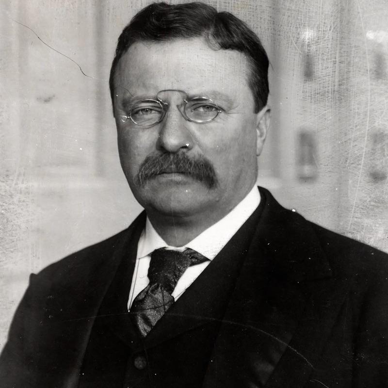 THEODORE ROOSEVELT