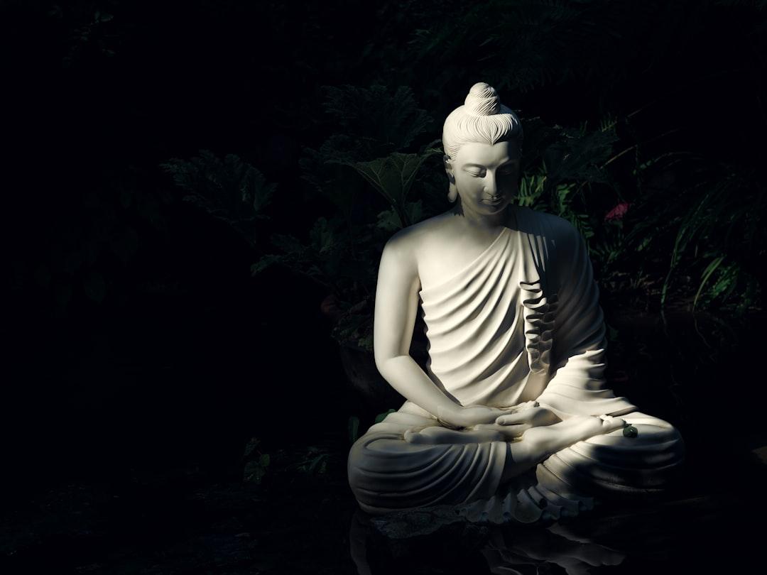 Meditating with the Mindfulness of Buddhism