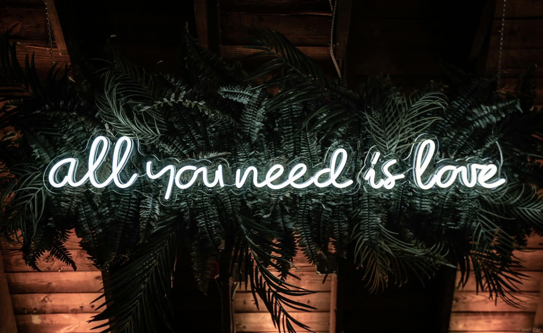 All You Need Is Love