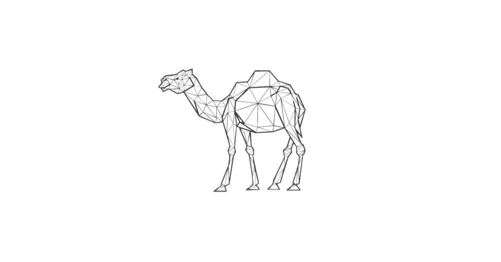 The Camel