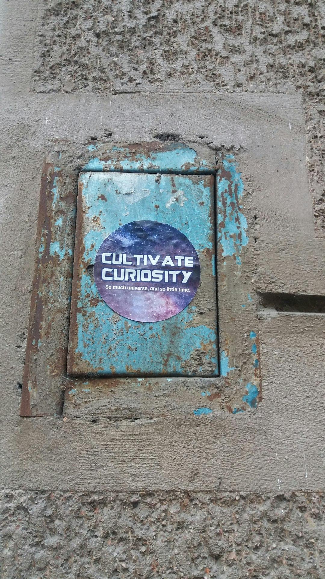 Embrace Curiosity