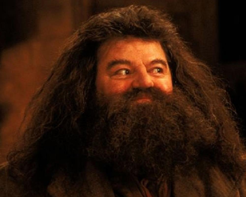 4.Hagrid: