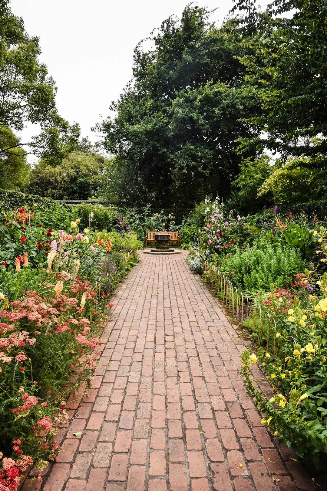 UN JARDÍ EXUBERANT: controlar la ment