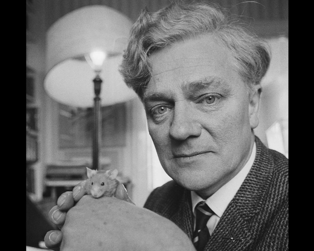 RICHARD ADAMS 