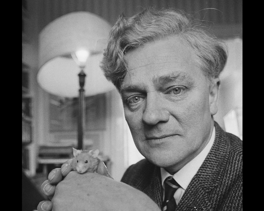 RICHARD ADAMS 