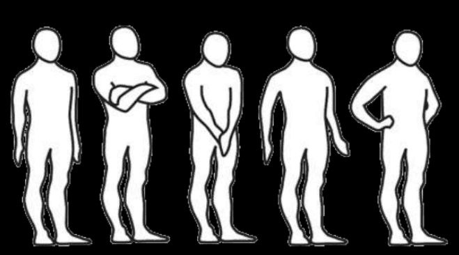 2. Observe Body Posture