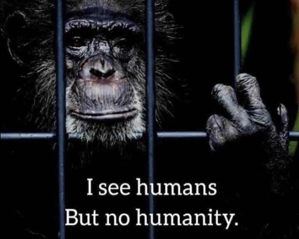 Humans Without Humanity