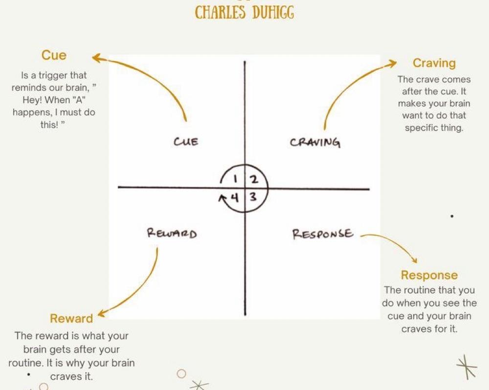 The Habit Loop