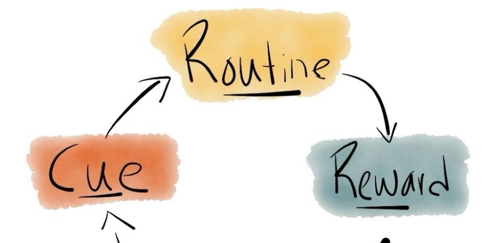 The Cue-Routine-Reward Breakdown