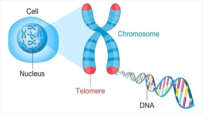 Stress Less for Great Cells