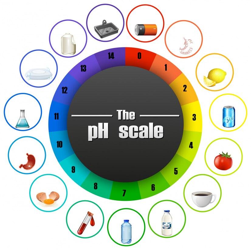 Balancing Alkaline and Acid Levels