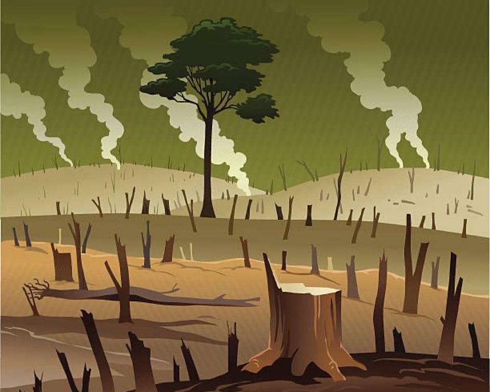 Deforestation & Habitst Loss