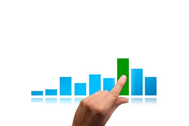 2. Net Profit Margin