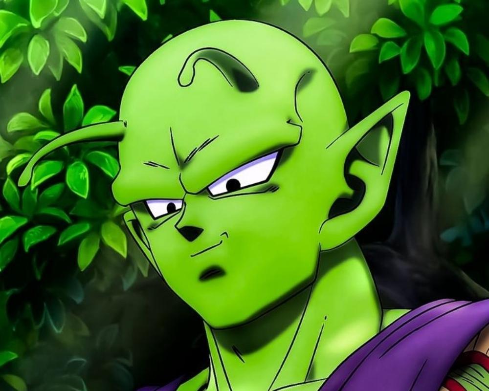 PICCOLO 