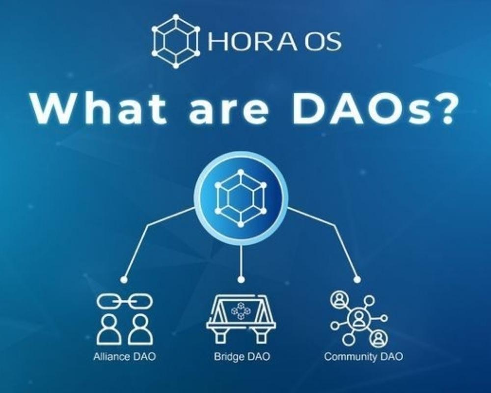 DAO often offer features like