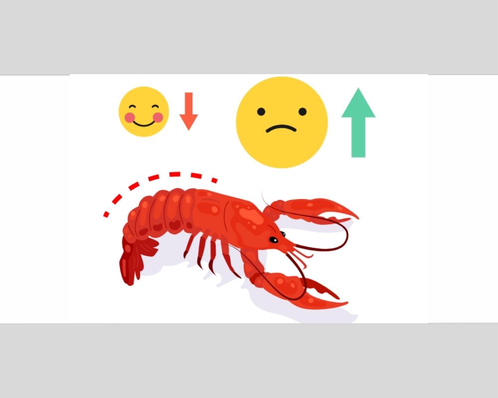 How Defeat Affects Lobster Posture