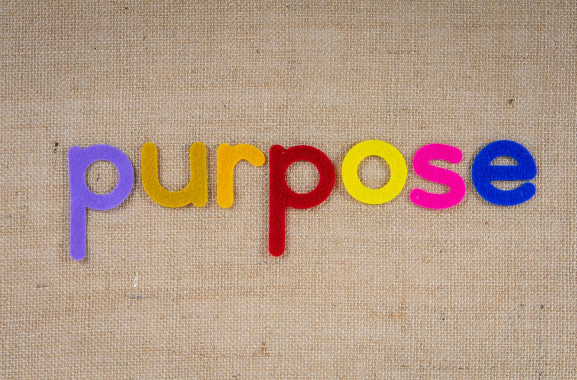 Myth#4 — Find Your Purpose In Life