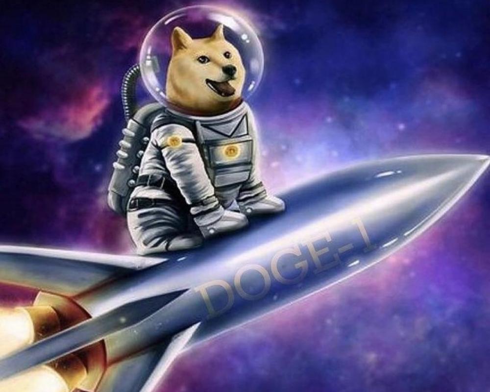 <p>Dogecoin started as a meme,...