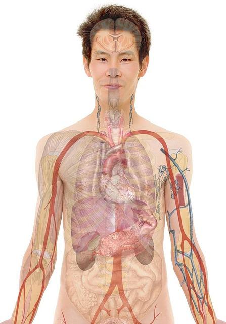 Body Enters A Natural Metabolic State, Ketosis