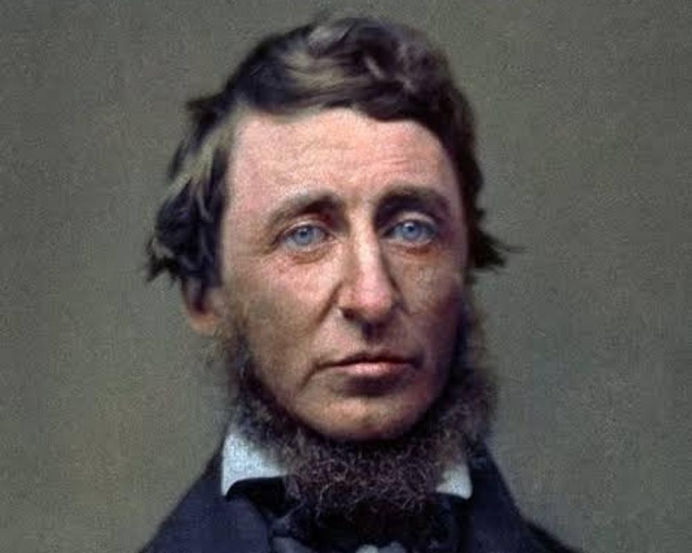 HENRY DAVID THOREAU 